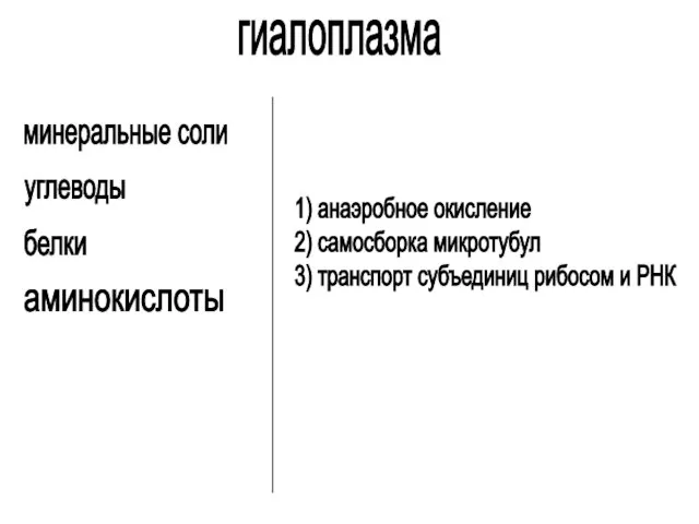 гиалоплазма минеральные соли углеводы белки аминокислоты 1) анаэробное окисление 2) самосборка микротубул