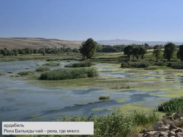 ардабиль Река Балыкды чай – река, где много рыбы