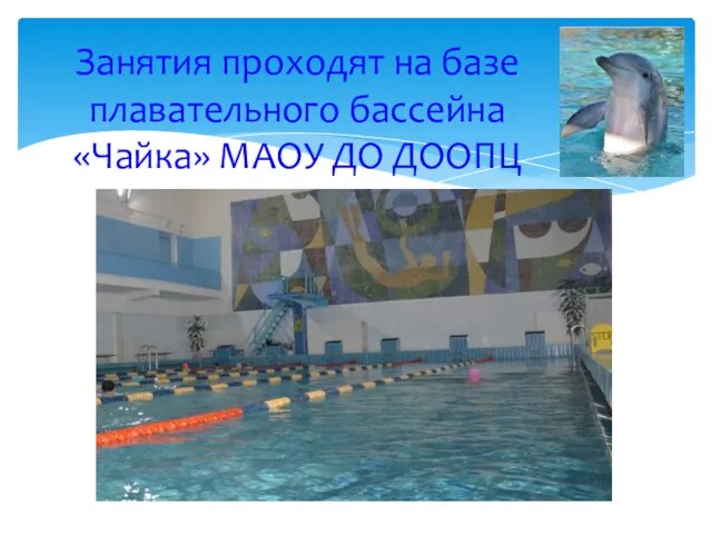 Занятия проходят на базе плавательного бассейна «Чайка» МАОУ ДО ДООПЦ