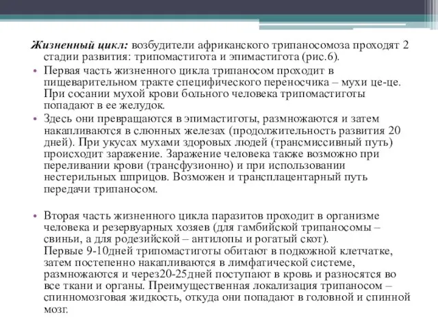 Жизненный цикл: возбудители африканского трипаносомоза проходят 2 стадии развития: трипомастигота и эпимастигота