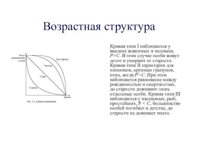 Возрастная структура Кривая типа I наблюдается у высших животных и человека, Р>С.