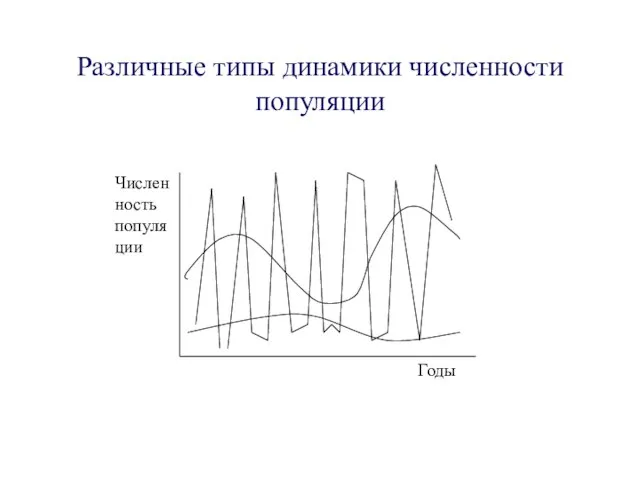 Различные типы динамики численности популяции