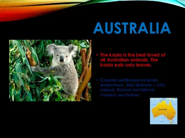 AUSTRALIA The koala is the best loved of all Australian animals. The