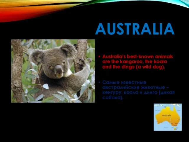 AUSTRALIA Australia’s best-known animals are the kangaroo, the koala and the dingo