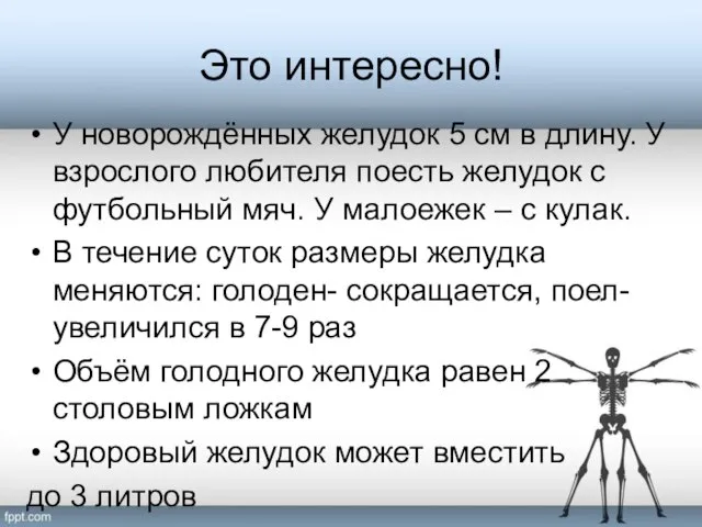 Это интересно! У новорождённых желудок 5 см в длину. У взрослого любителя