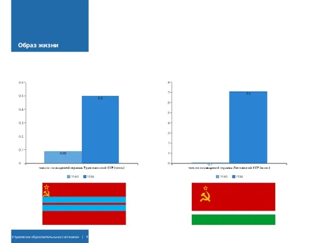 Образ жизни