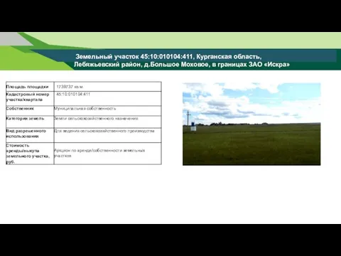 Земельный участок 45:10:010104:411, Курганская область, Лебяжьевский район, д.Большое Моховое, в границах ЗАО «Искра»