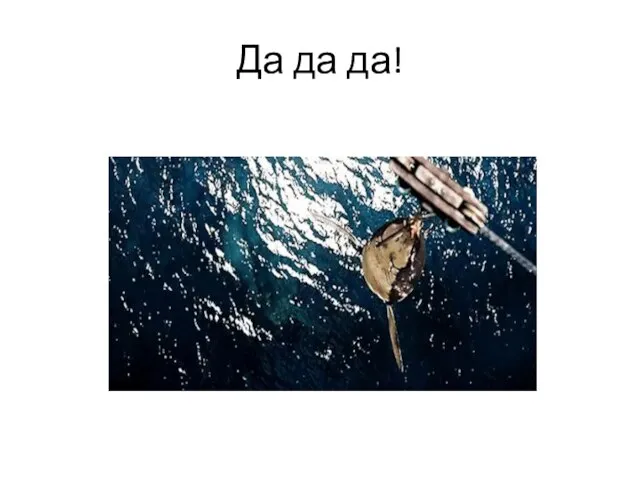 Да да да!