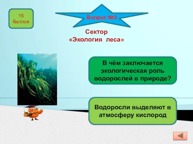 Вопрос №3 В чём заключается экологическая роль водорослей в природе? Водоросли выделяют