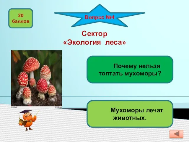 Вопрос №4 Почему нельзя топтать мухоморы? Мухоморы лечат животных. 20 баллов Сектор «Экология леса»