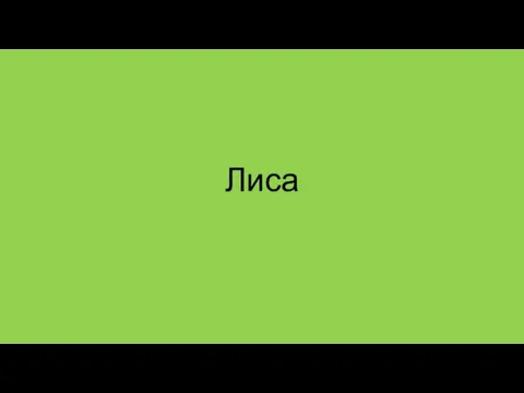 Лиса