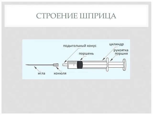 СТРОЕНИЕ ШПРИЦА