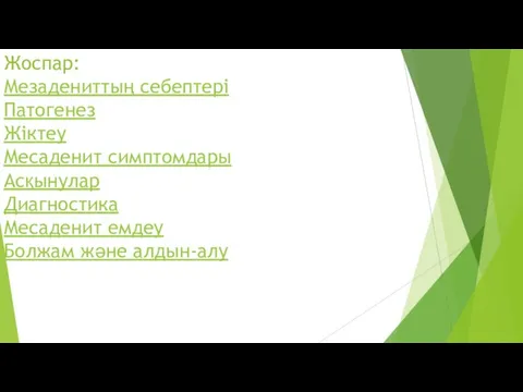 Жоспар: Мезадениттың себептері Патогенез Жіктеу Месаденит симптомдары Асқынулар Диагностика Месаденит емдеу Болжам және алдын-алу