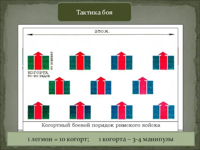 Тактика боя 1 легион = 10 когорт; 1 когорта – 3-4 манипулы