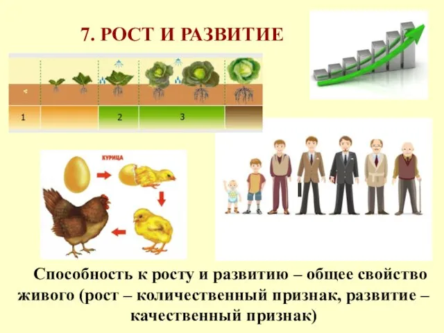 7. РОСТ И РАЗВИТИЕ Способность к росту и развитию – общее свойство