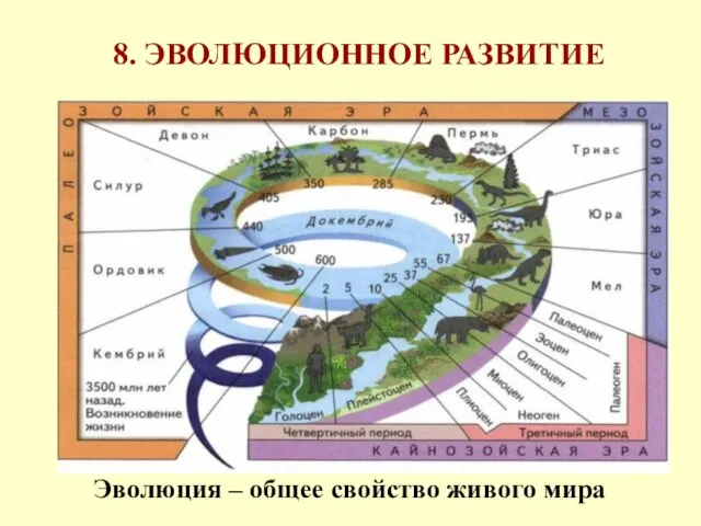 8. ЭВОЛЮЦИОННОЕ РАЗВИТИЕ Эволюция – общее свойство живого мира