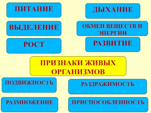 ПРИЗНАКИ ЖИВЫХ ОРГАНИЗМОВ ПИТАНИЕ ДЫХАНИЕ ПОДВИЖНОСТЬ РАЗДРАЖИМОСТЬ РОСТ ВЫДЕЛЕНИЕ РАЗМНОЖЕНИЕ РАЗВИТИЕ ПРИСПОСОБЛЕННОСТЬ ОБМЕН ВЕЩЕСТВ И ЭНЕРГИИ