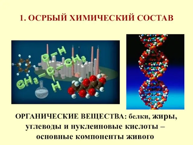 1. ОСРБЫЙ ХИМИЧЕСКИЙ СОСТАВ ОРГАНИЧЕСКИЕ ВЕЩЕСТВА: белки, жиры, углеводы и нуклеиновые кислоты – основные компоненты живого