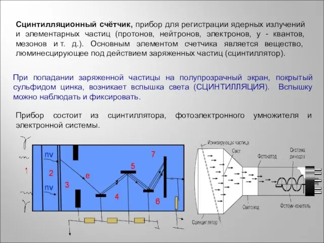 Сцинтилляционный счётчик, прибор для регистрации ядерных излучений и элементарных частиц (протонов, нейтронов,