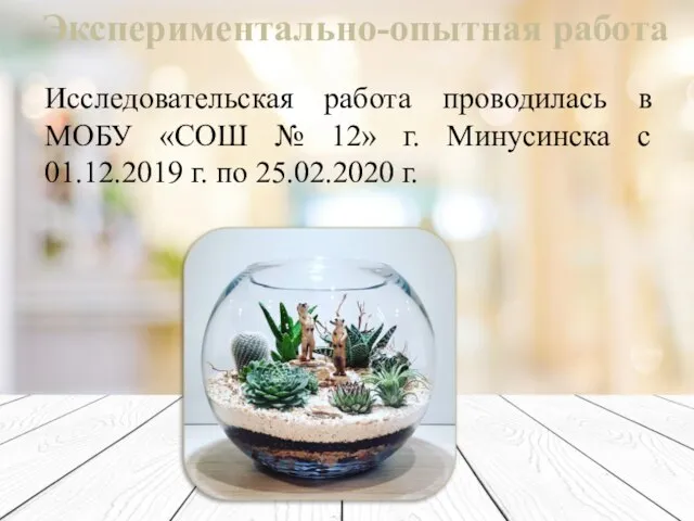 Исследовательская работа проводилась в МОБУ «СОШ № 12» г. Минусинска с 01.12.2019
