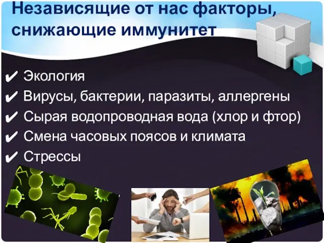 Независящие от нас факторы, снижающие иммунитет Экология Вирусы, бактерии, паразиты, аллергены Сырая