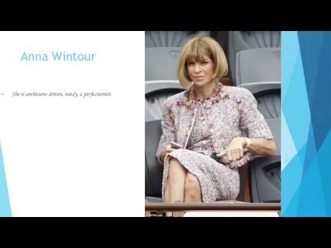 Anna Wintour She is ambitions driven, needy, a perfectionist.