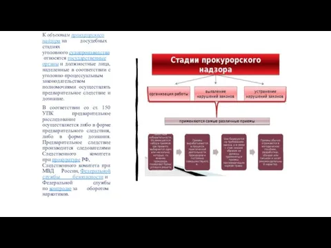 К объектам прокурорского надзора на досудебных стадиях уголовного судопроизводства относятся государственные органы