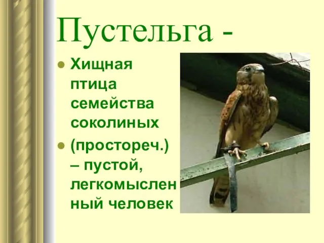 Пустельга - Хищная птица семейства соколиных (простореч.) – пустой, легкомысленный человек