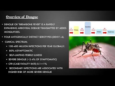 DENGUE OR “BREAKBONE FEVER” IS A RAPIDLY EXPANDING ARBOVIRAL DISEASE TRANSMITTED BY