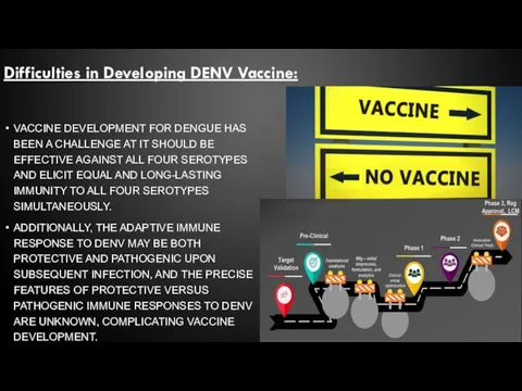 VACCINE DEVELOPMENT FOR DENGUE HAS BEEN A CHALLENGE AT IT SHOULD BE