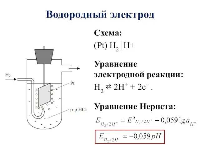Водородный электрод Схема: (Pt) H2⏐H+ Уравнение электродной реакции: H2 ⇄ 2Н+ + 2е– . Уравнение Нернста: