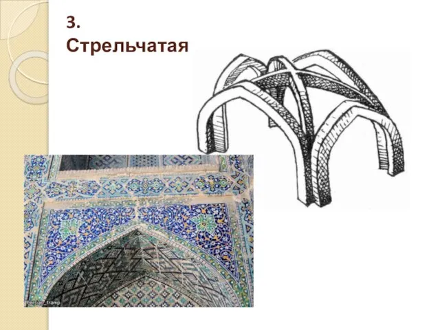 3. Стрельчатая