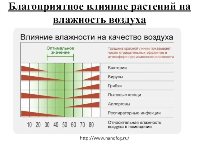 Благоприятное влияние растений на влажность воздуха http://www.nanofog.ru/