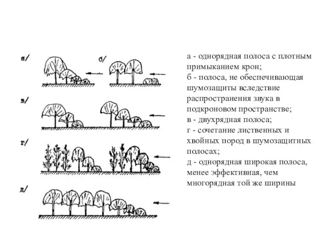 а - однорядная полоса с плотным примыканием крон; б - полоса, не