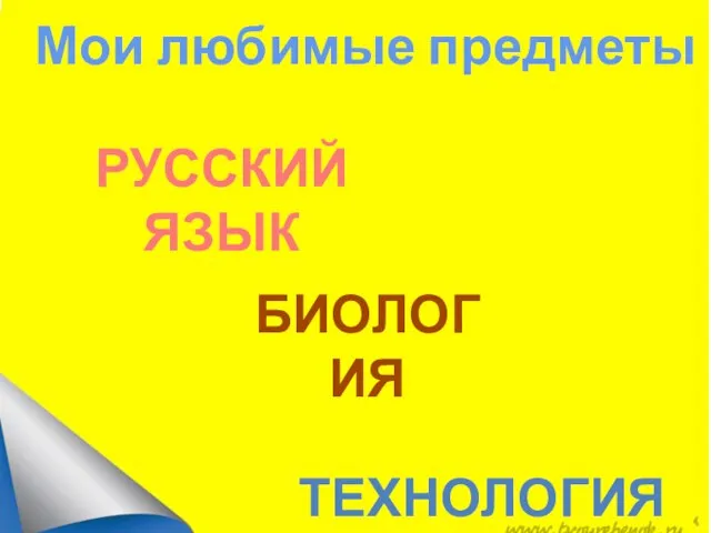 Мои любимые предметы ТЕХНОЛОГИЯ РУССКИЙ ЯЗЫК БИОЛОГИЯ