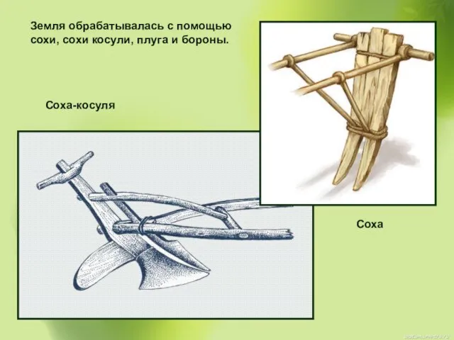 Земля обрабатывалась с помощью сохи, сохи косули, плуга и бороны. Соха-косуля Соха