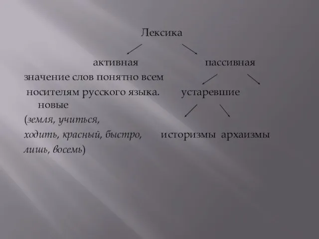 Лексика активная пассивная значение слов понятно всем носителям русского языка. устаревшие новые