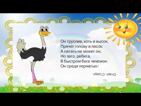 Он труслив, хоть и высок, Прячет голову в песок. А летать не