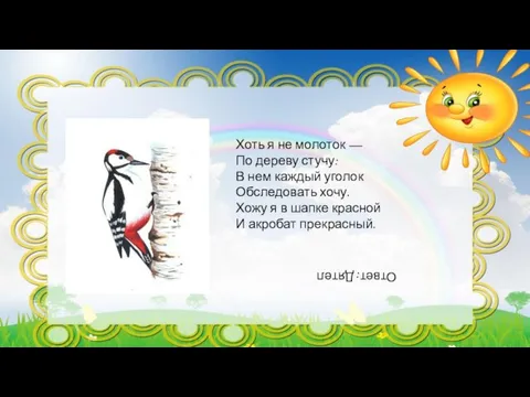 Хоть я не молоток — По дереву стучу: В нем каждый уголок