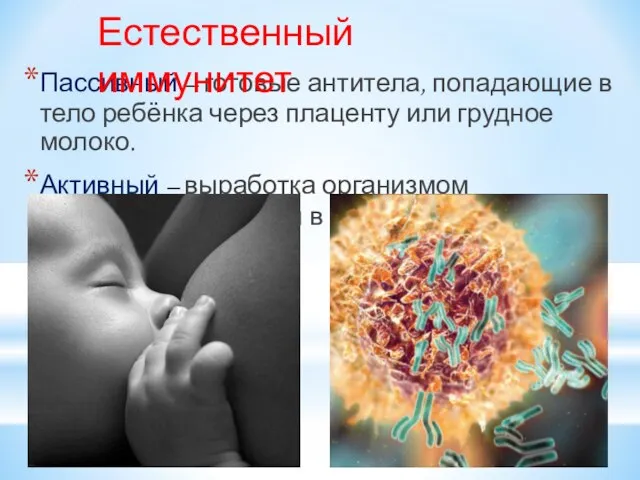 Пассивный – готовые антитела, попадающие в тело ребёнка через плаценту или грудное
