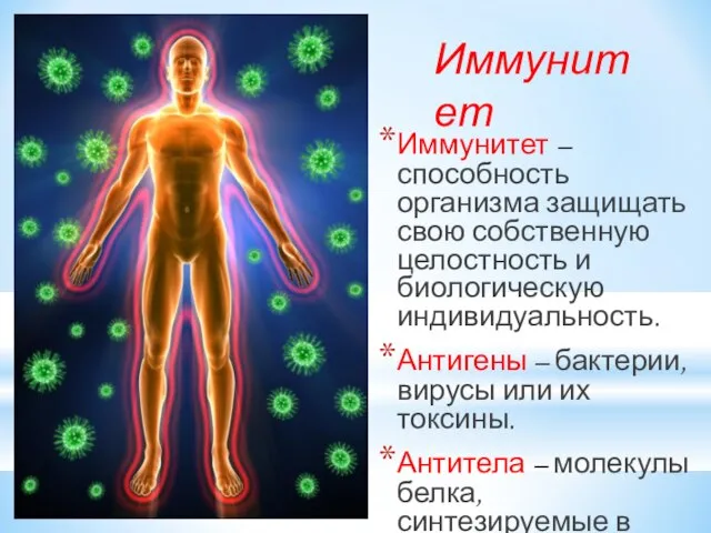 Иммунитет – способность организма защищать свою собственную целостность и биологическую индивидуальность. Антигены