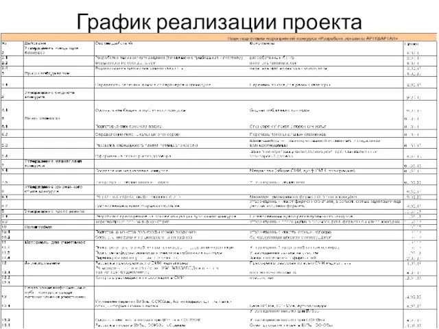 График реализации проекта