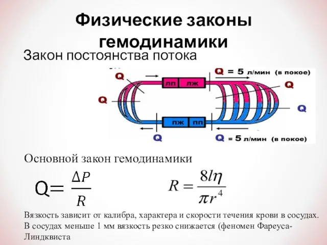 Физические законы гемодинамики Закон постоянства потока Основной закон гемодинамики Вязкость зависит от