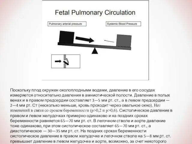 Поскольку плод окружен околоплодными водами, давление в его сосудах измеряется относительно давления