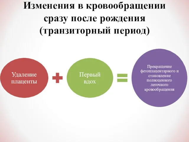 Изменения в кровообращении сразу после рождения (транзиторный период)