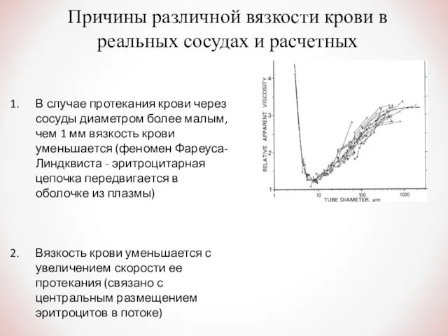 Причины различной вязкости крови в реальных сосудах и расчетных В случае протекания