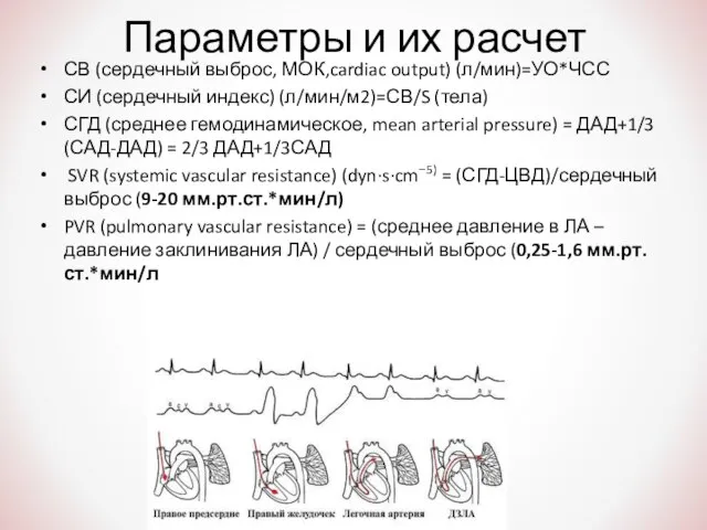 Параметры и их расчет СВ (сердечный выброс, МОК,cardiac output) (л/мин)=УО*ЧСС СИ (сердечный