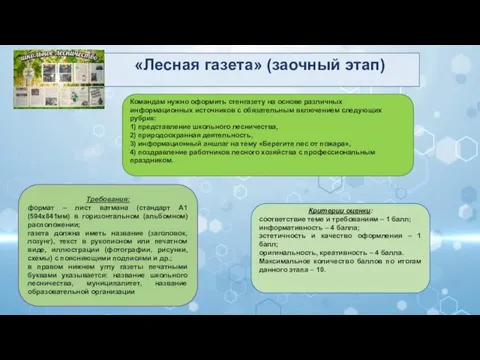 «Лесная газета» (заочный этап) Командам нужно оформить стенгазету на основе различных информационных