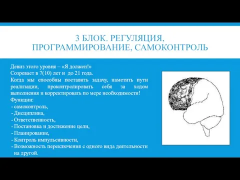 3 БЛОК. РЕГУЛЯЦИЯ, ПРОГРАММИРОВАНИЕ, САМОКОНТРОЛЬ Девиз этого уровня – «Я должен!» Созревает