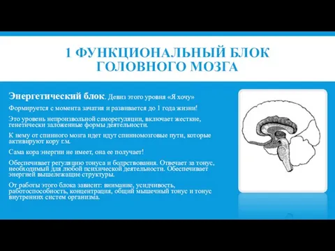 1 ФУНКЦИОНАЛЬНЫЙ БЛОК ГОЛОВНОГО МОЗГА Энергетический блок. Девиз этого уровня «Я хочу»